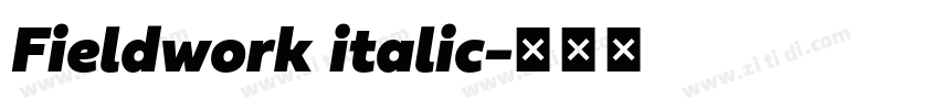 Fieldwork italic字体转换